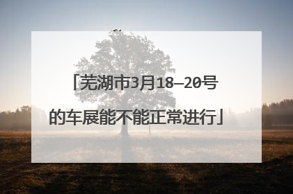 芜湖市3月18—20号的车展能不能正常进行