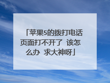 苹果5的拨打电话页面打不开了 该怎么办 求大神呀