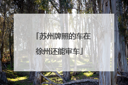 苏州牌照的车在徐州还能审车