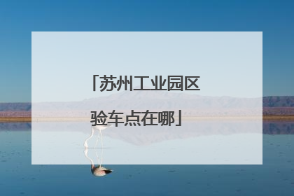 苏州工业园区验车点在哪