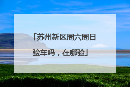 苏州新区周六周日验车吗，在哪验