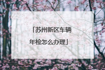 苏州新区车辆年检怎么办理