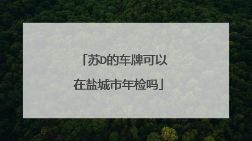 苏D的车牌可以在盐城市年检吗