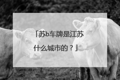 苏b车牌是江苏什么城市的？