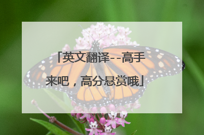 英文翻译--高手来吧，高分悬赏哦