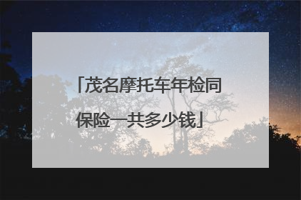 茂名摩托车年检同保险一共多少钱