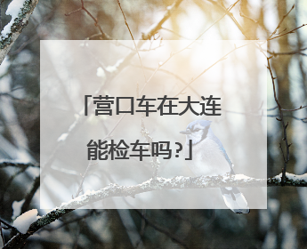 营口车在大连能检车吗?