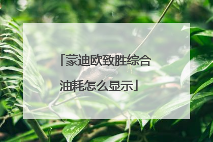 蒙迪欧致胜综合油耗怎么显示