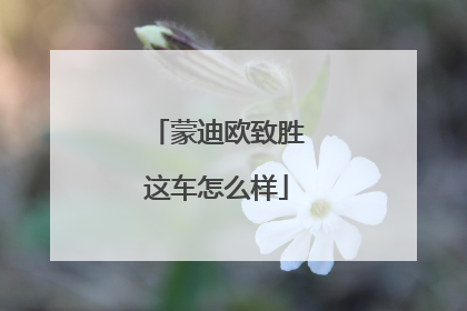 蒙迪欧致胜这车怎么样