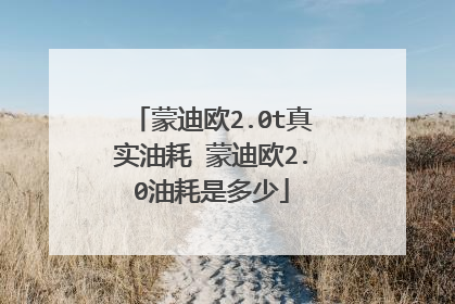 蒙迪欧2.0t真实油耗 蒙迪欧2.0油耗是多少