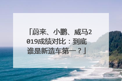 蔚来、小鹏、威马2019成绩对比：到底谁是新造车第一？