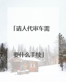 请人代审车需要什么手续