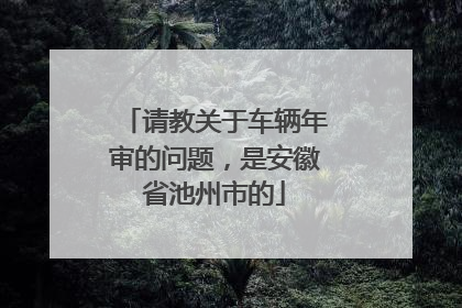 请教关于车辆年审的问题，是安徽省池州市的