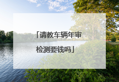 请教车辆年审检测要钱吗