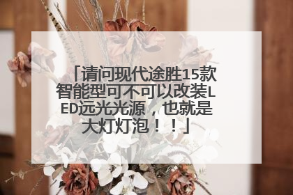 请问现代途胜15款智能型可不可以改装LED远光光源，也就是大灯灯泡！！