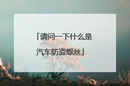 请问一下什么是汽车防盗螺丝