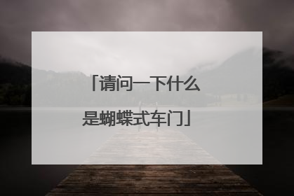 请问一下什么是蝴蝶式车门