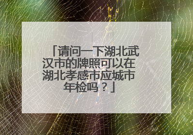 请问一下湖北武汉市的牌照可以在湖北孝感市应城市年检吗？