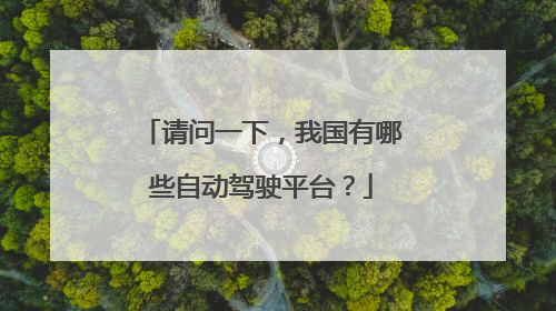 请问一下，我国有哪些自动驾驶平台？