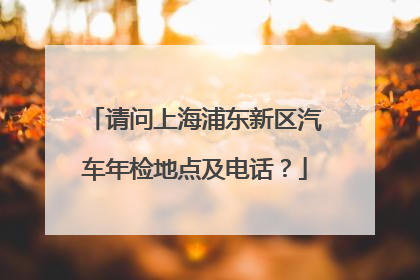 请问上海浦东新区汽车年检地点及电话？