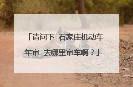 请问下 石家庄机动车年审 去哪里审车啊？