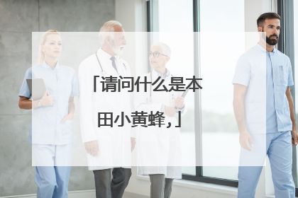 请问什么是本田小黄蜂,