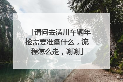 请问去潢川车辆年检需要准备什么，流程怎么走，谢谢