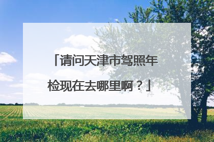 请问天津市驾照年检现在去哪里啊？