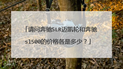 请问奔驰SLR迈凯轮和奔驰sl500的价格各是多少？