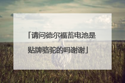 请问德尔福蓄电池是贴牌骆驼的吗谢谢