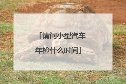 请问小型汽车年检什么时间