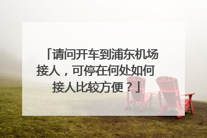 请问开车到浦东机场接人，可停在何处如何接人比较方便？