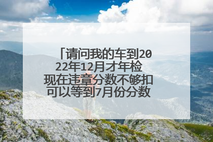 请问我的车到2022年12月才年检现在违章分数不够扣可以等到7月份分数更新了再处理吗？