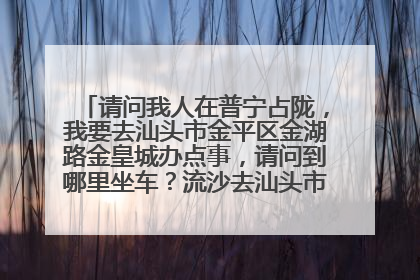 请问我人在普宁占陇，我要去汕头市金平区金湖路金皇城办点事，请问到哪里坐车？流沙去汕头市的车经过占陇