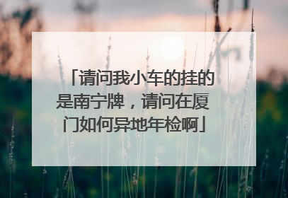请问我小车的挂的是南宁牌，请问在厦门如何异地年检啊