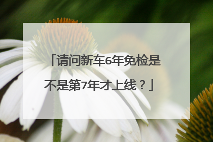 请问新车6年免检是不是第7年才上线？