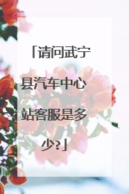 请问武宁县汽车中心站客服是多少?
