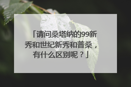 请问桑塔纳的99新秀和世纪新秀和普桑，有什么区别呢？