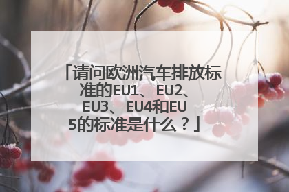 请问欧洲汽车排放标准的EU1、EU2、EU3、EU4和EU5的标准是什么？