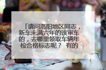 请问洛阳地区同志，新车未满六年的该审车的，去哪里领取车辆年检合格标志呢？ 有的人说是关林车管所