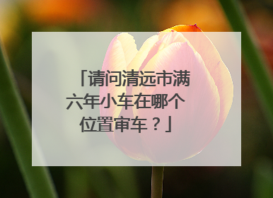 请问清远市满六年小车在哪个位置审车？