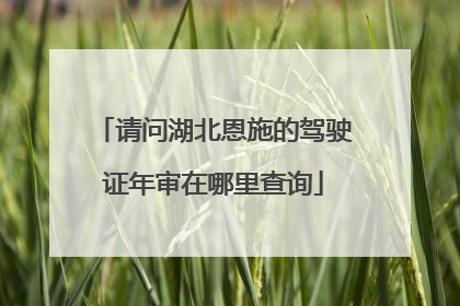 请问湖北恩施的驾驶证年审在哪里查询
