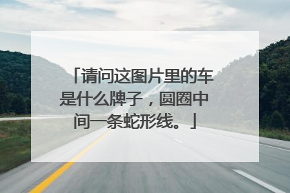请问这图片里的车是什么牌子，圆圈中间一条蛇形线。