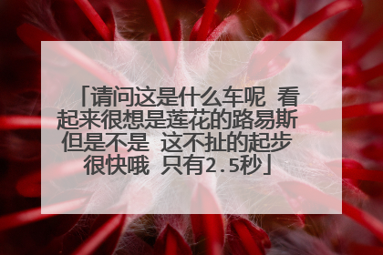 请问这是什么车呢 看起来很想是莲花的路易斯但是不是 这不扯的起步很快哦 只有2.5秒