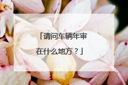 请问车辆年审在什么地方？