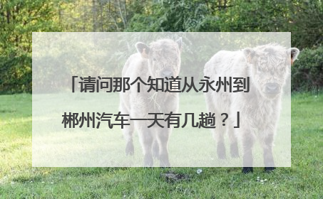 请问那个知道从永州到郴州汽车一天有几趟？