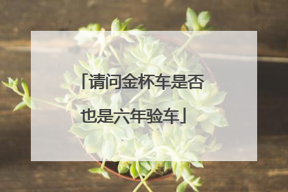 请问金杯车是否也是六年验车