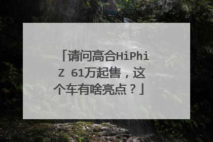 请问高合HiPhi Z 61万起售，这个车有啥亮点？