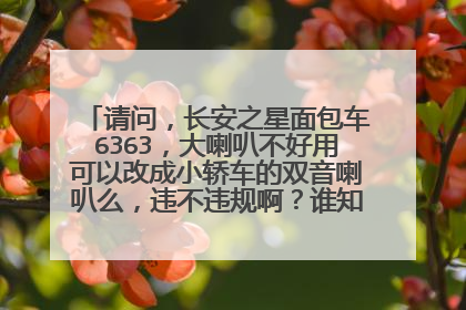 请问，长安之星面包车6363，大喇叭不好用可以改成小轿车的双音喇叭么，违不违规啊？谁知道告诉我一下好么