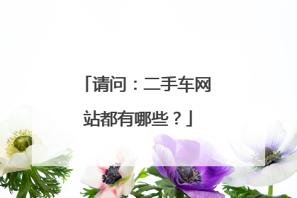 请问：二手车网站都有哪些？
